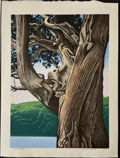Juniper II