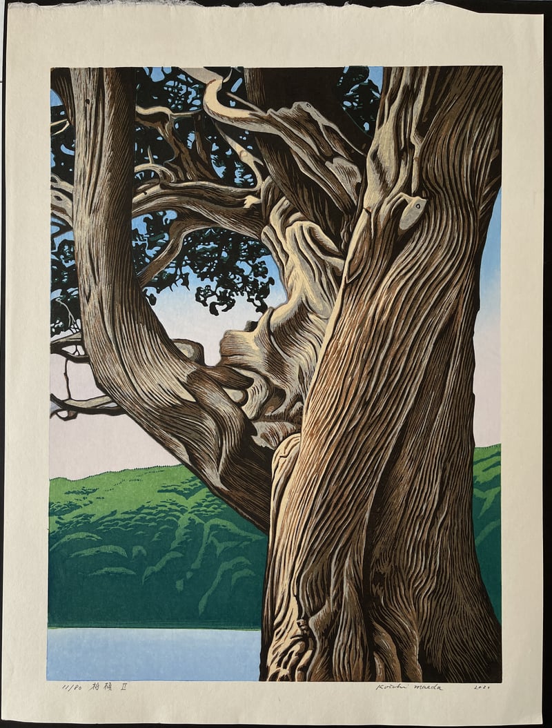 Juniper II by Koichi Maeda
