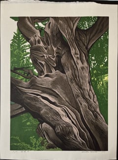 Juniper III