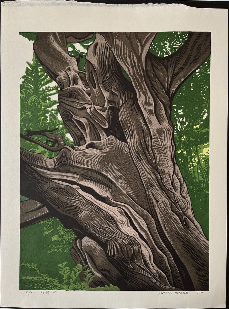 Juniper III by Koichi Maeda