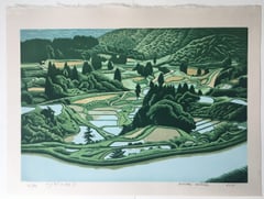 Rice Paddies at Tokamachi