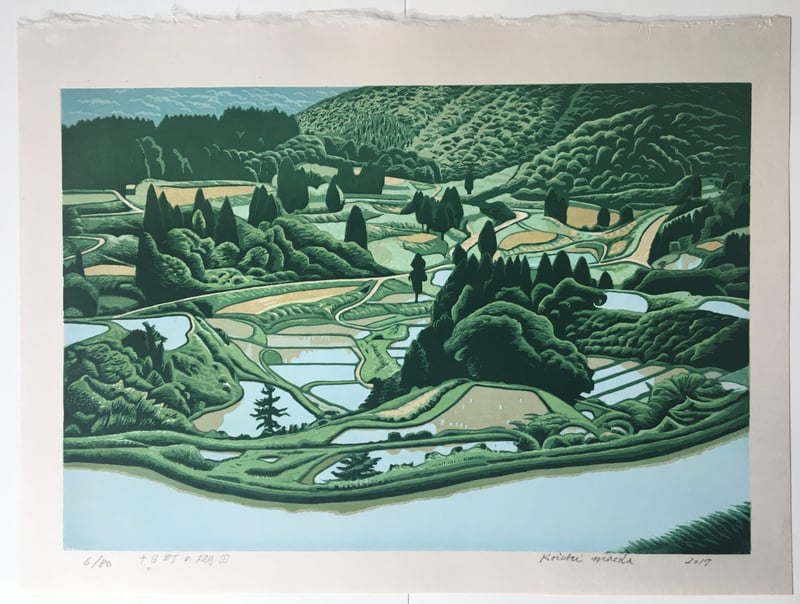 Rice Paddies at Tokamachi by Koichi Maeda