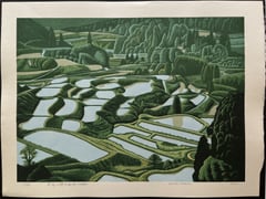 Rice Terraces in Hoshitoge (Niigata, Tokamachi)