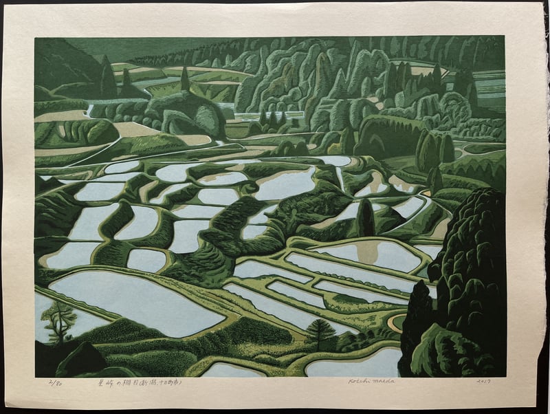 Rice Terraces in Hoshitoge (Niigata, Tokamachi) by Koichi Maeda
