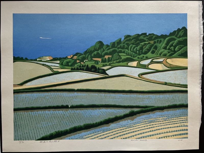 Rice Terraces Where the Sea Breeze Blows by Koichi Maeda