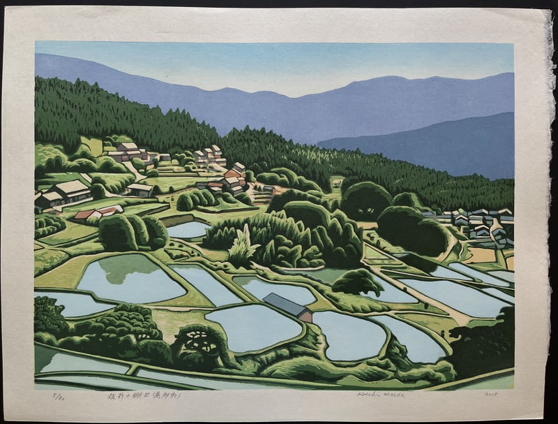 Terraced Rice Fields of Sakaori (Enashi City) by Koichi Maeda