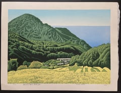 Terraced rice fields overlooking the sea (Shizuoka, Ishibu)