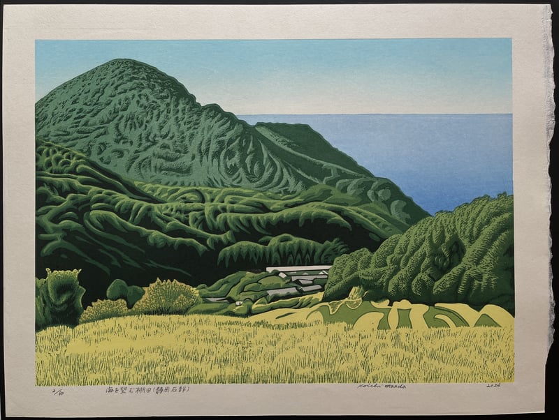 Terraced rice fields overlooking the sea (Shizuoka, Ishibu) by Koichi Maeda