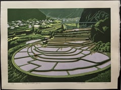 The terraced rice fields of Aragi Island (Wakayama, Aridagawa Town).