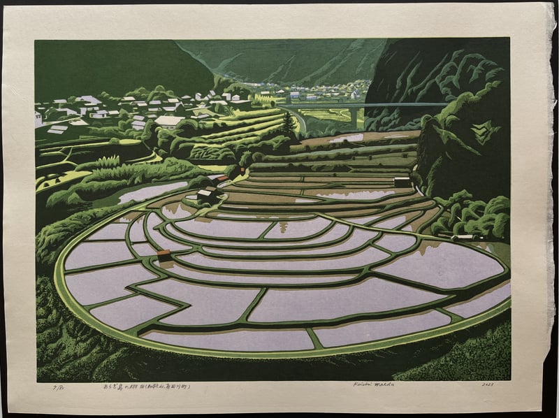 The terraced rice fields of Aragi Island (Wakayama, Aridagawa Town). by Koichi Maeda