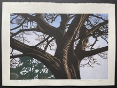 Tree Waiting for Spring