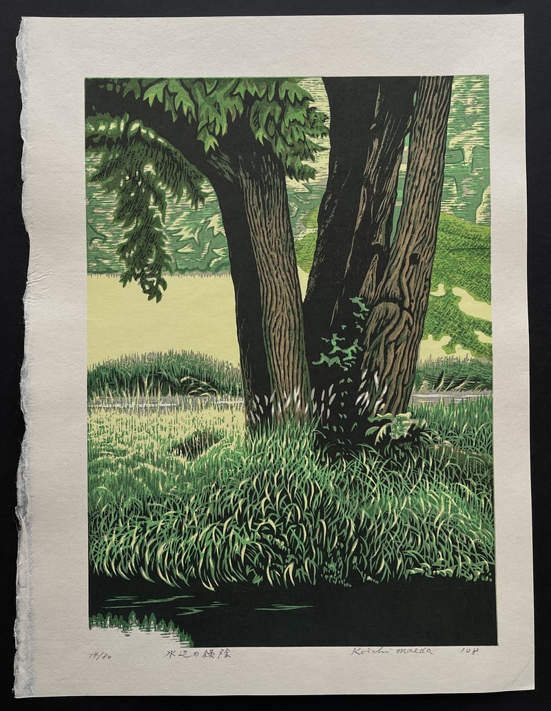 Waterside and Green Shade by Koichi Maeda