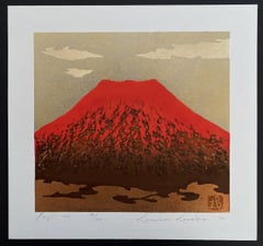 Fuji 101