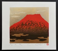Fuji 106