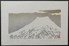Fuji 109