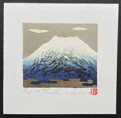 Fuji 110