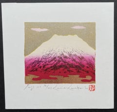 Fuji 111