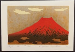 Fuji 44