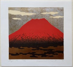 Fuji 51