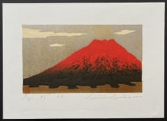 Fuji 91