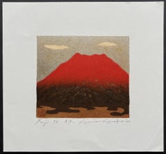 Fuji 93