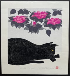 Black Cat