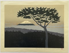 Mt. Fuji from Pass