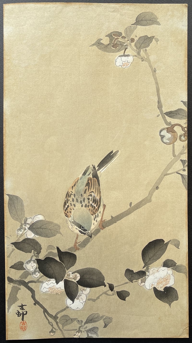 Bunting Perched on the Branch of a Flowering Plant by Ohara Koson