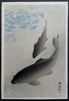 Carp and Water Plants (Early Edition)