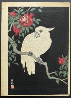 Cockatoo and Pomegranate