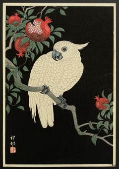 Cockatoo and Pomegranate