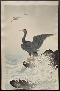 Cormorant and Waves