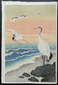 Cranes on Seashore