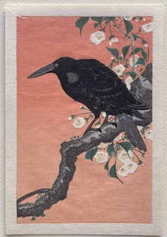 Crow on Cherry Branch