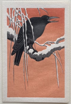 Crow on Snowy Branch