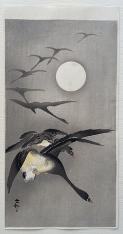Eight White-Fronted Gees in Flight, a Full Moon Behind