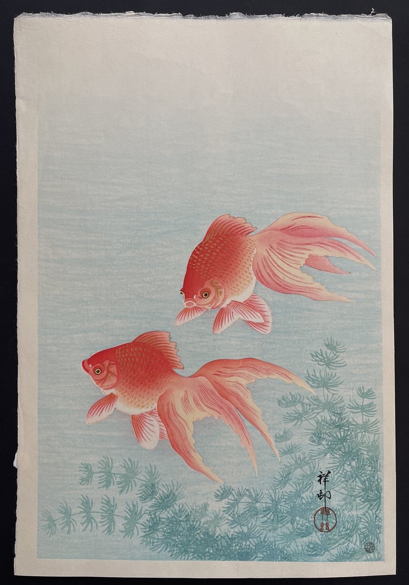 Goldfish under Water (Showa) by Ohara Koson