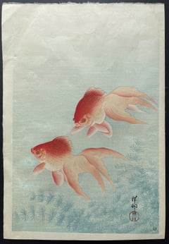 Goldfish under Water