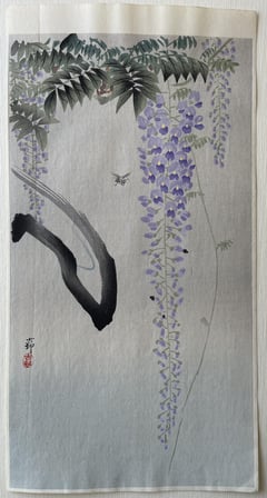 Insect next to Flowering Wisteria