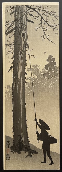 Man Harvesting a Nest (Early Edition)