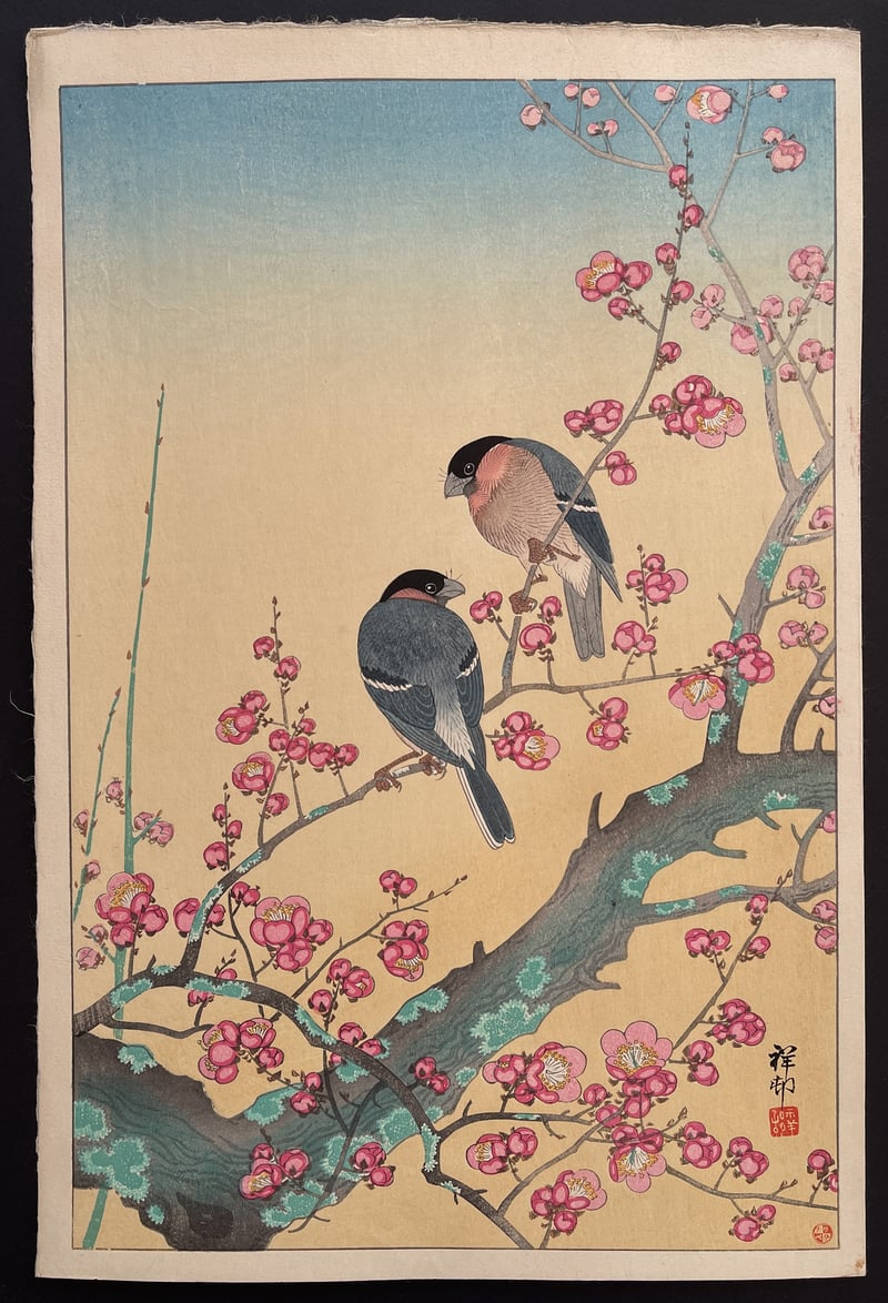 Plum Blossom and Japanese Nightingale (Showa) by Ohara Koson