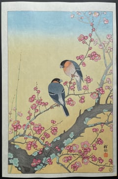 Plum Blossom and Japanese Nightingale