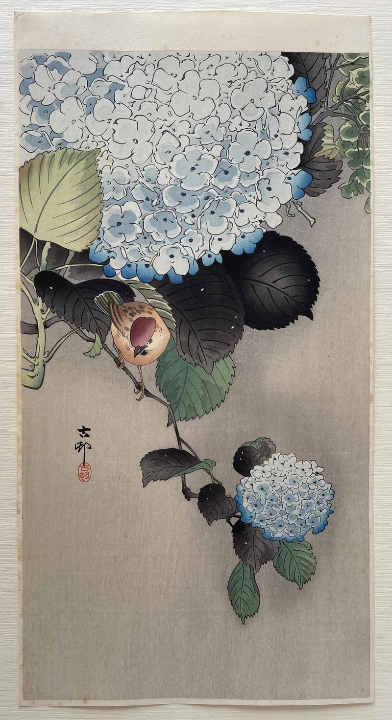 Sparrow on Hortensia by Ohara Koson