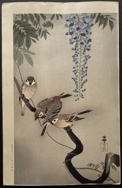 Sparrows and Wisteria
