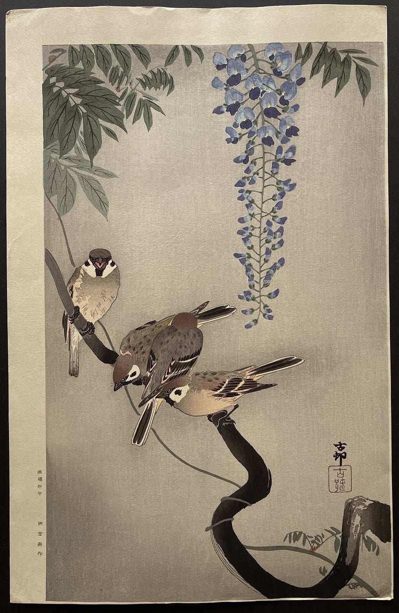 Sparrows and Wisteria by Ohara Koson