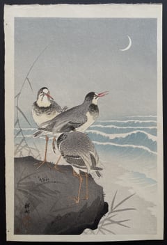 Thee Plovers on a Rock, the Seaside and a Crescent Moon behind.