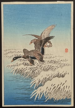 Two Ducks Flying above Snow-Covered Reeds