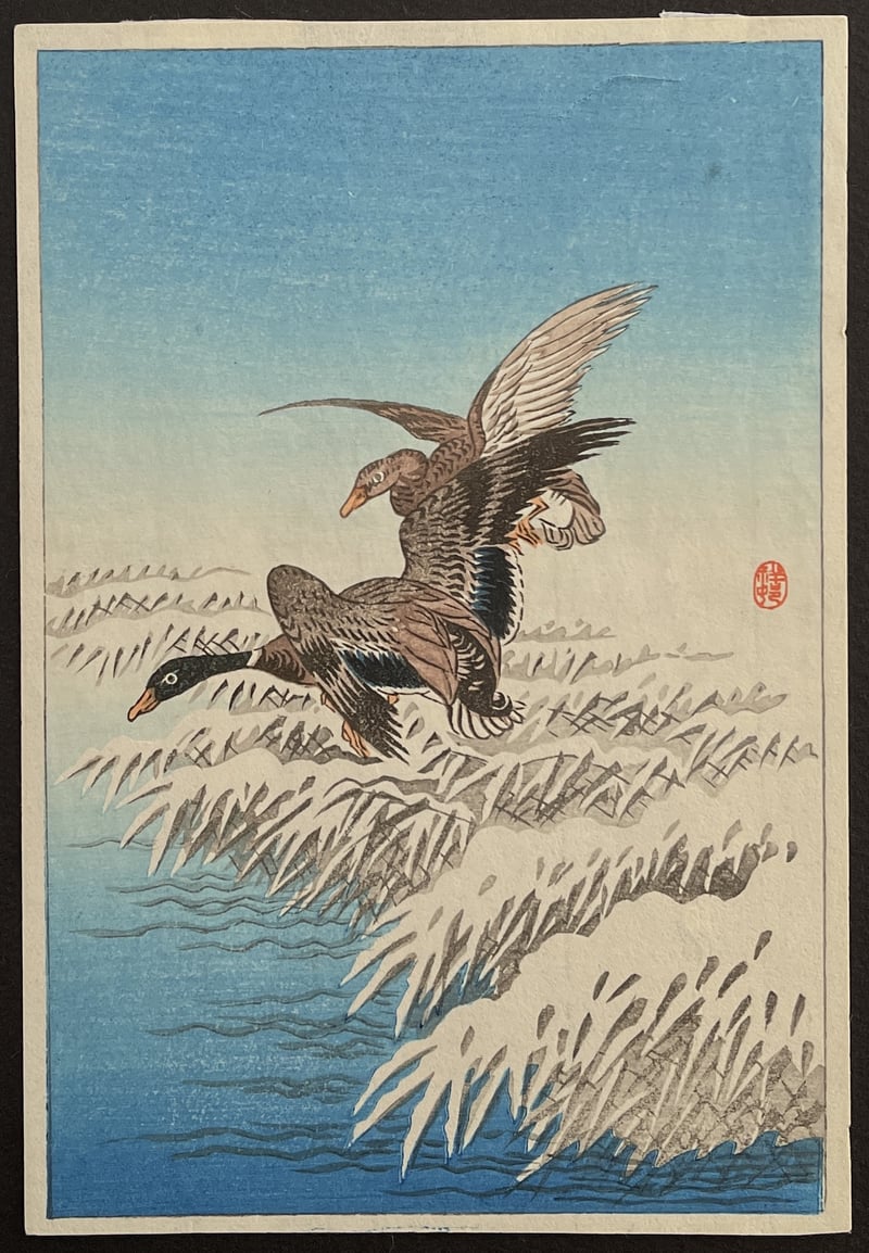 Two Ducks Flying above Snow-Covered Reeds by Ohara Koson
