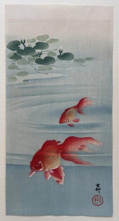 Two Goldfish and Lotus Plants
