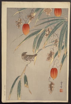 Bird and Japanese Lantern Plant